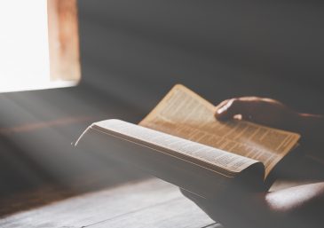 Lea la Biblia en un año : 250º día