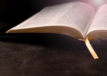 Lea la Biblia en un año : 229º día